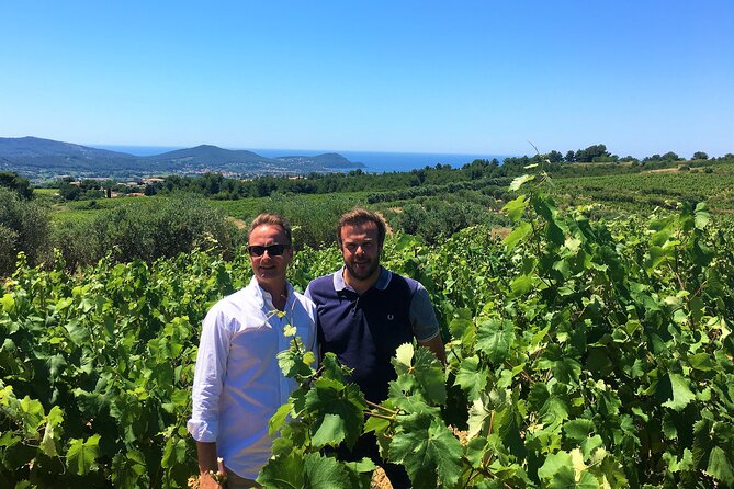 Full-day Wine Tour around Bandol & Cassis from Marseille - The small-group format and guide quality