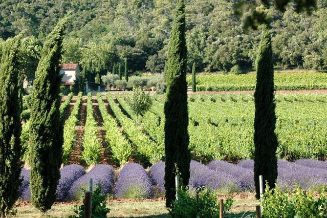 Full-Day Wine Tour around Luberon from Marseille - Three Luberon wineries, three ways to make wine