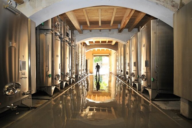 Full-Day Wine Tour around Luberon from Marseille - The afternoon winery adds a third point of comparison