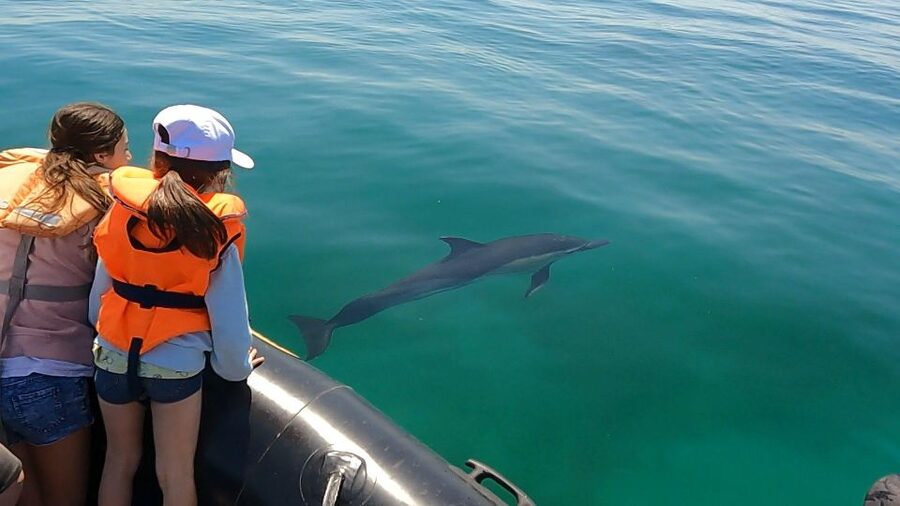 Glénan islands discover, full or half day privatization - Key points to know before you book