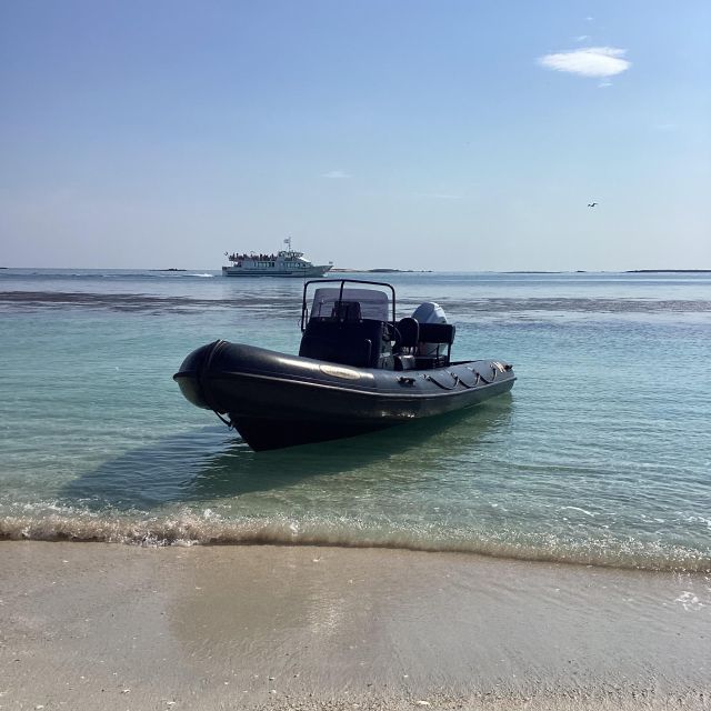 Glénan islands discover, full or half day privatization - Why this private Glénan trip feels different