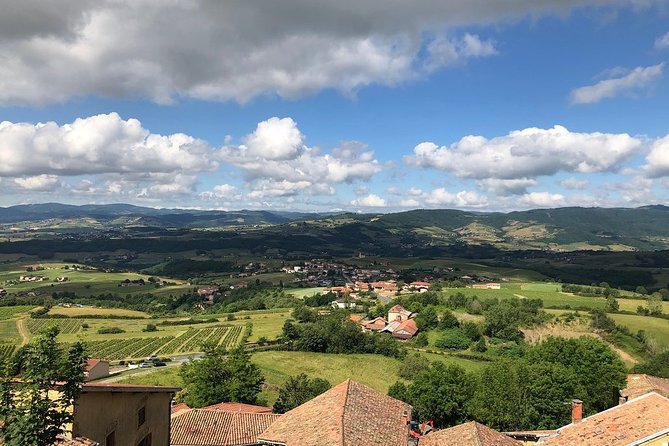 Golden stones Beaujolais Wine Tour with Tastings from Lyon - How much wine do you actually taste?