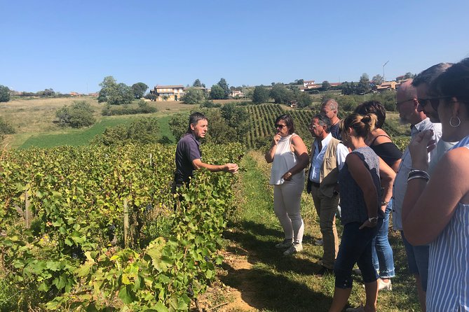 Golden stones Beaujolais Wine Tour with Tastings from Lyon - Oingt and the golden-stone villages