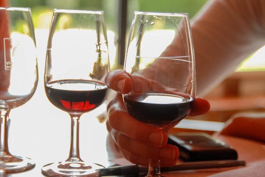 Grasse, Valbonne & Gourdon: Day Tour with Wine Tasting - The van ride, guides, and pace