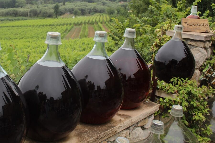 Grasse, Valbonne & Gourdon: Day Tour with Wine Tasting - Who will enjoy this day most