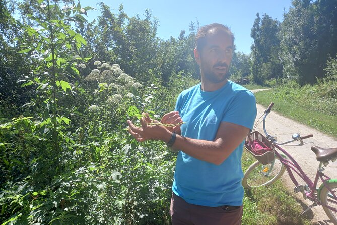 Green Venice Cycling Getaway - Seeing the Marais Poitevin from two wheels