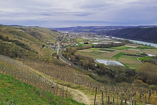 Guided Day Tour and Wine Tasting Northern Rhône Valley - Lunch in Tain-l’Hermitage