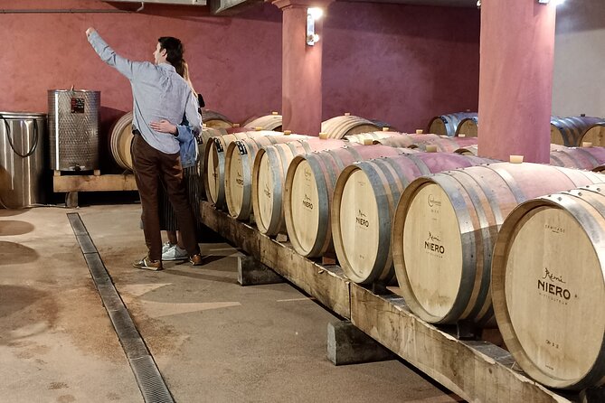 Guided Day Tour and Wine Tasting Northern Rhône Valley - Who should book this experience