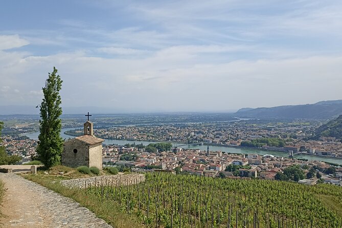 Guided Day Tour and Wine Tasting Northern Rhône Valley - The first tasting near Chavanay or Ampuis