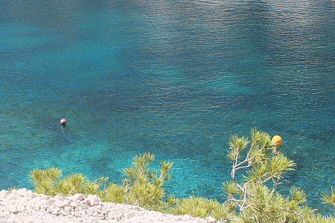 Guided hike in the Calanques National Park - Views worth working for