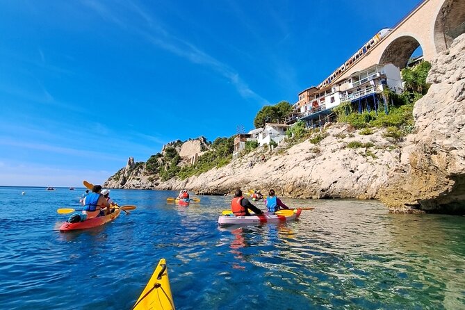 Guided kayak excursion in creeks - Morning or afternoon: the timing matters