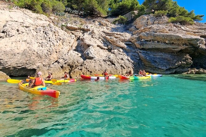 Guided kayak excursion in creeks - Who will enjoy this kayak trip most