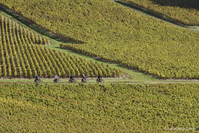 Guided tour of the Chablis Vineyards by e-bike - Inside the wine estate
