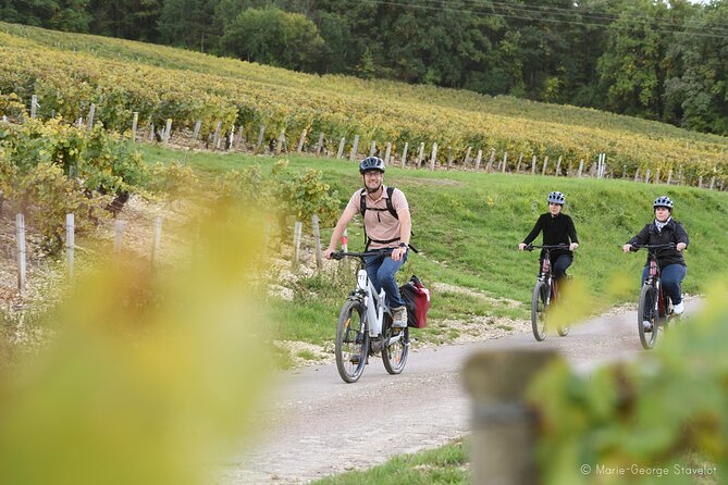 Guided tour of the Chablis Vineyards by e-bike - What five to six wines can teach you