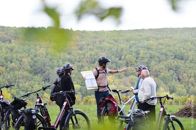 Guided tour of the Chablis Vineyards by e-bike - Who will enjoy this Chablis outing