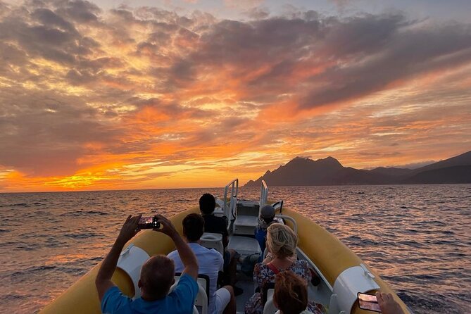 Half Day Boat Trip to Scandola Calanche de Piana - How much value do you get for $84.69?