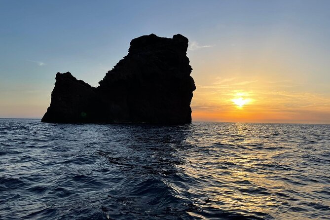 Half Day Boat Trip to Scandola Calanche de Piana - Practical details that affect your day