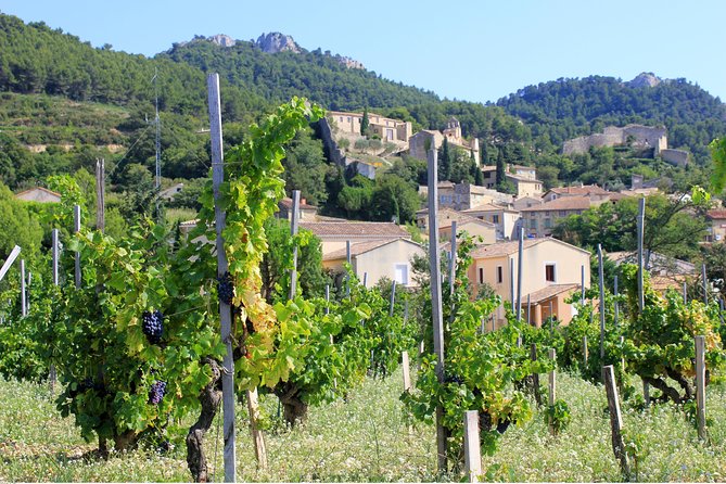 Half Day Great Vineyard Tour from Avignon - Why this Southern Rhône tour works well from Avignon
