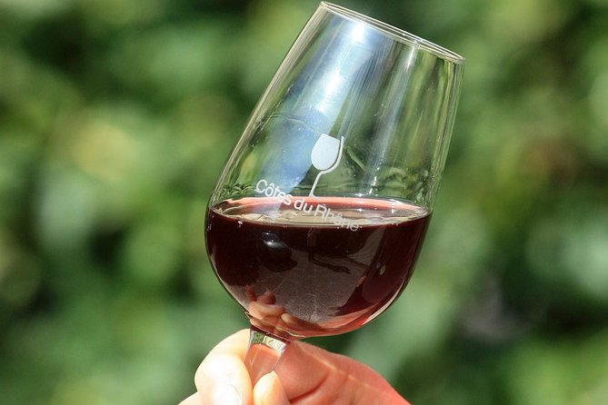 Half Day Great Vineyard Tour from Avignon - The guides make the biggest difference