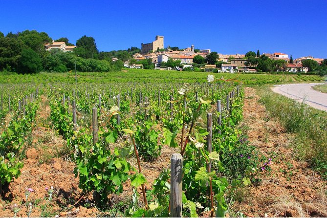 Half Day Great Vineyard Tour from Avignon - Five hours in a small vehicle