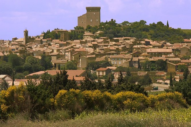 Half Day Great Vineyard Tour from Avignon - Morning or afternoon: which departure fits best?