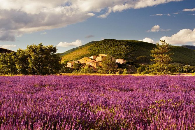 Half Day Lavender Road in Sault from Avignon - Gordes is a fast but worthwhile viewpoint