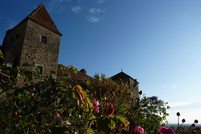 Half Day Tour of the Cote de Nuits Vineyards from Dijon - Group size, timing, and practical comfort