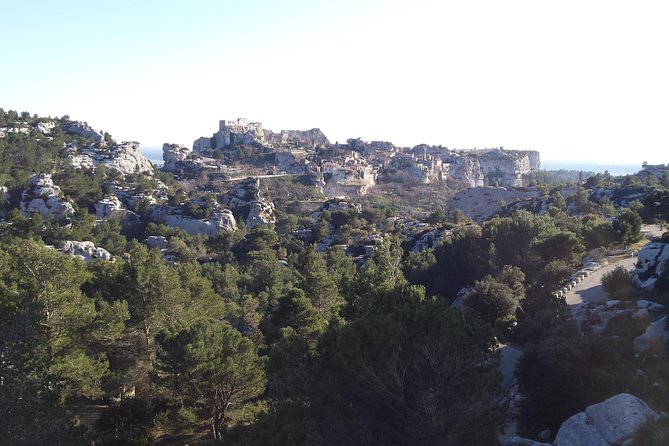 Half-Day Van Gogh Tour of Provence from Avignon - Why Van Gogh’s Provence works best in person