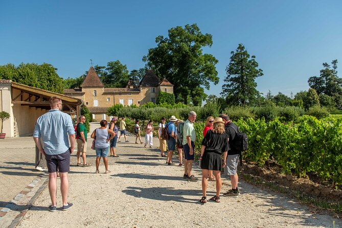 Half-Day Wine tour across Bordeaux’s Vineyards - The afternoon begins at Bordeaux’s tourist office