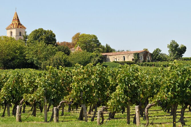 Half-Day Wine tour across Bordeaux’s Vineyards - What the afternoon feels like in practice