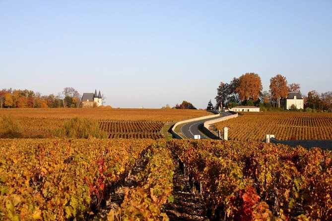 Half-Day Wine tour across Bordeaux’s Vineyards - Booking, cancellations, and useful planning details