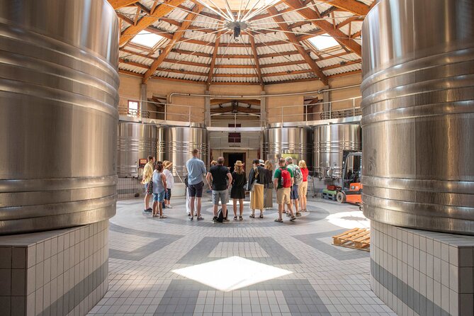 Half-Day Wine tour across Bordeaux’s Vineyards - Routes beyond Saint-Émilion can change the character of the day