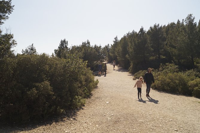 Hiking in the Calanques National park from Marseille - Picnic snacks and the social side