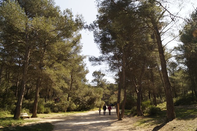 Hiking in the Calanques National park from Marseille - Who should book this Marseille hike