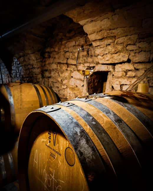Historic Center of Dijon : Discovery Tasting Wine Burgundy - Key points to know before booking