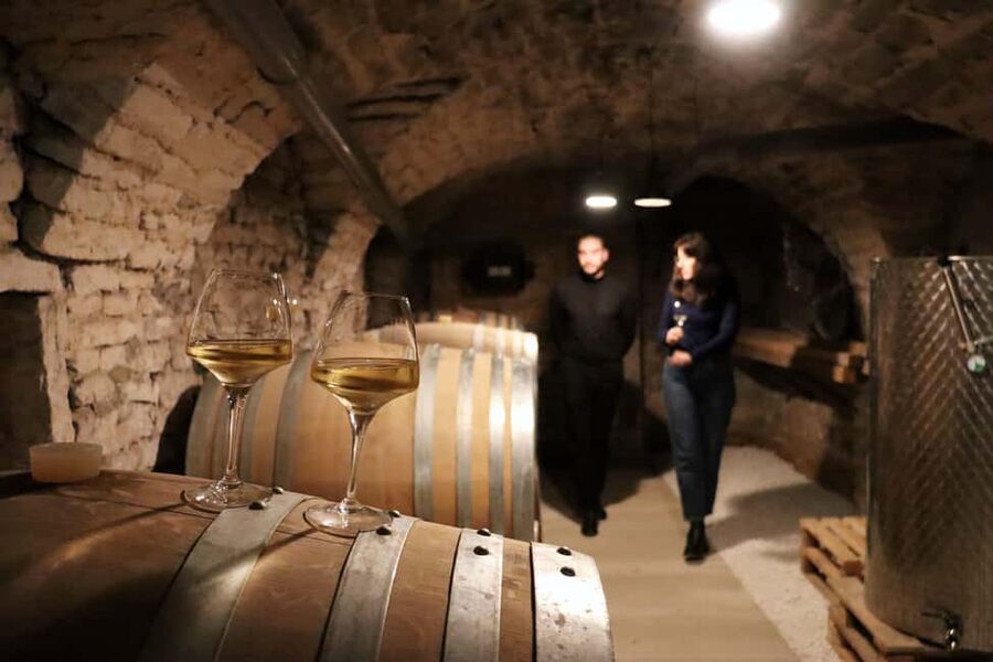 Historic Center of Dijon : Discovery Tasting Wine Burgundy - Burgundy in the basement of central Dijon