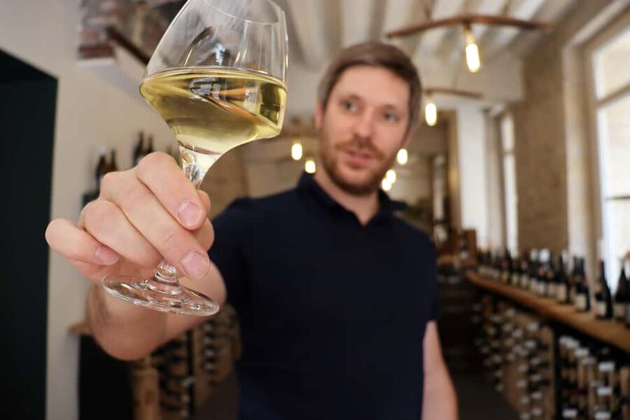 Historic Center of Dijon : Discovery Tasting Wine Burgundy - What the 1.5-hour visit feels like