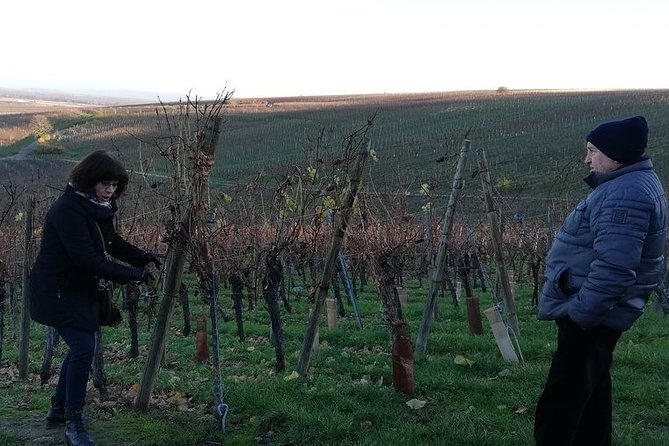 ICONICS Tour: 1/2 day on the Wine Route, visit of 2 Villages + Tasting. - Ana’s guiding style and the value of local explanation