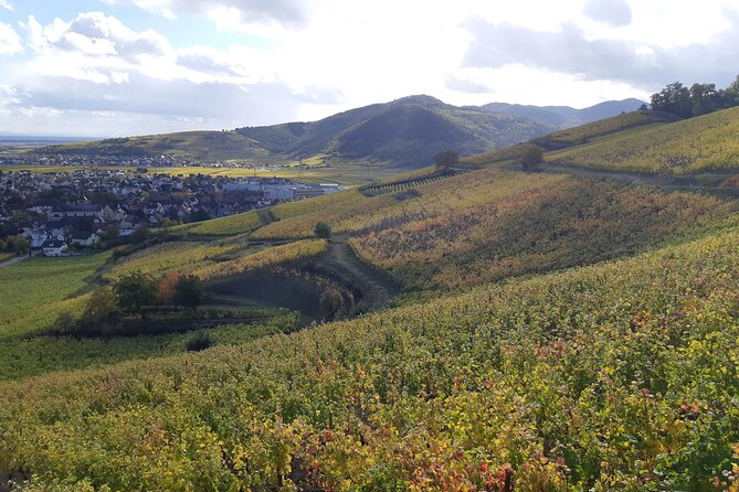 ICONICS Tour: 1/2 day on the Wine Route, visit of 2 Villages + Tasting. - What the small van changes