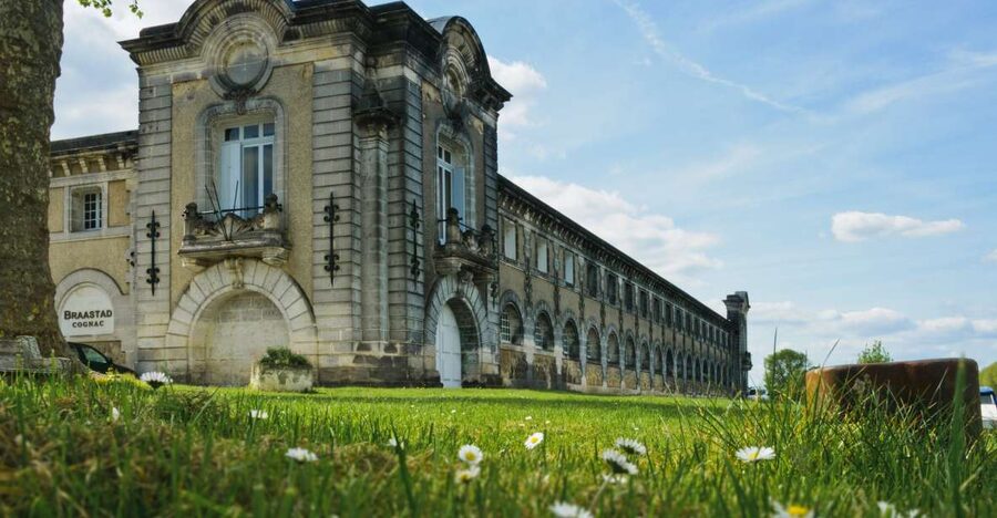 Jarnac: Braastad cognac prestige visit - Following the process from vineyard to wine
