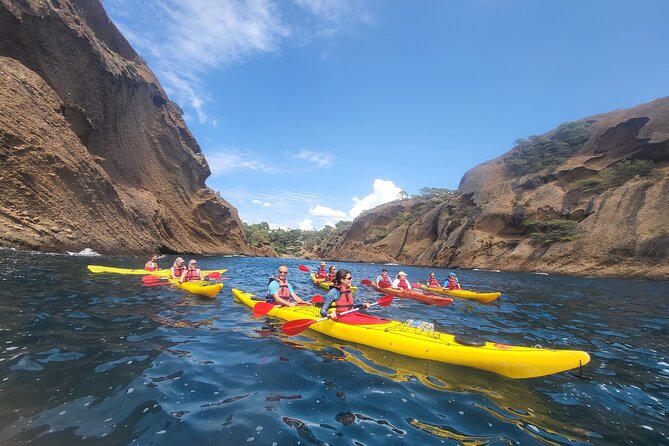 Kayak Tour at Calanques National Park (Ciotat) - Kayak comfort, fitness, and group size