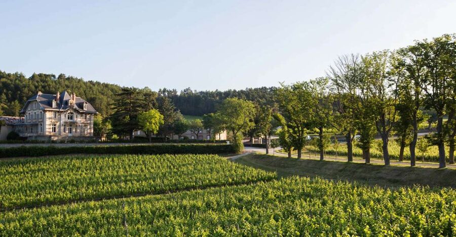 Languedoc: Tour and Tasting at Domaine de Baronarques - Key points at a glance