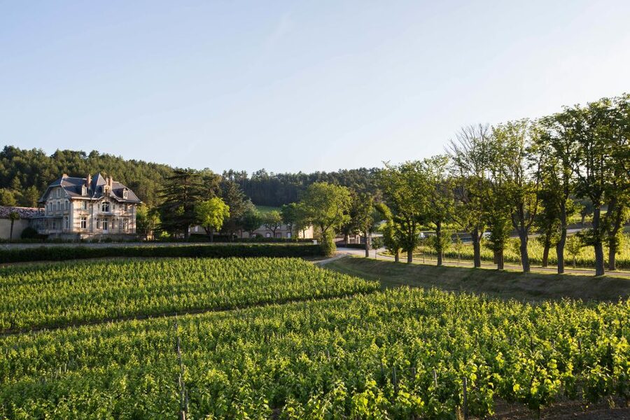 Languedoc: Tour and Tasting at Domaine de Baronarques - The three-wine tasting