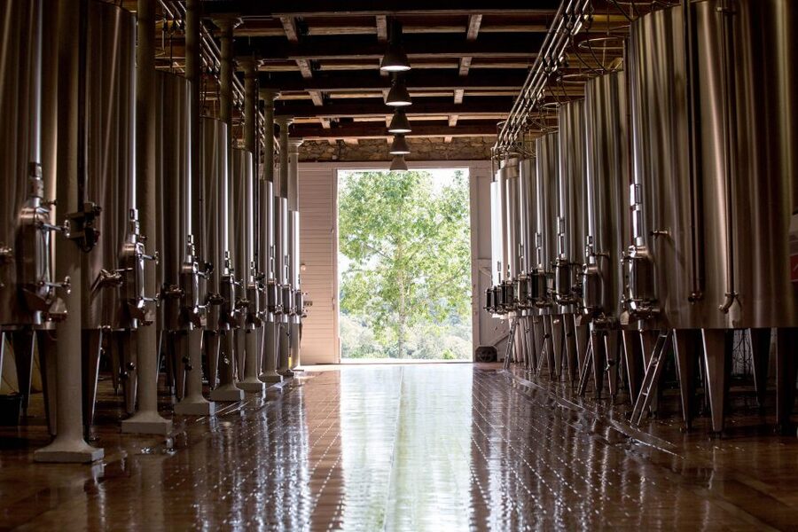 Languedoc: Tour and Tasting at Domaine de Baronarques - Who will enjoy Domaine de Baronarques
