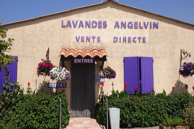 Lavender Fields Tour in Valensole from Marseille - Leaving Marseille at 8:15 am