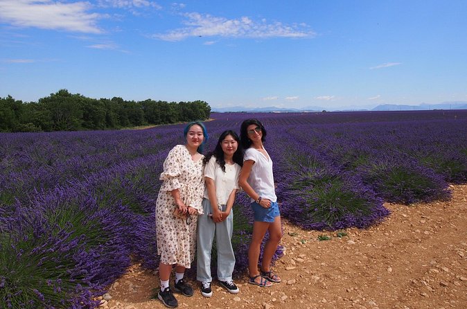 Lavender Fields Tour in Valensole from Marseille - Distilleries, tastings, and the shopping question