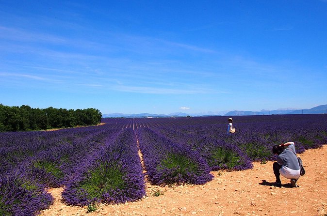 Lavender Fields Tour in Valensole from Marseille - One hour in Valensole village