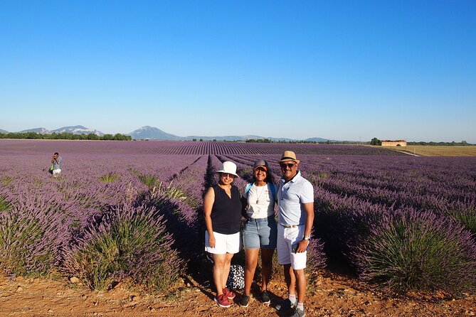 Lavender Fields Tour in Valensole from Marseille - What the $120.14 price buys you