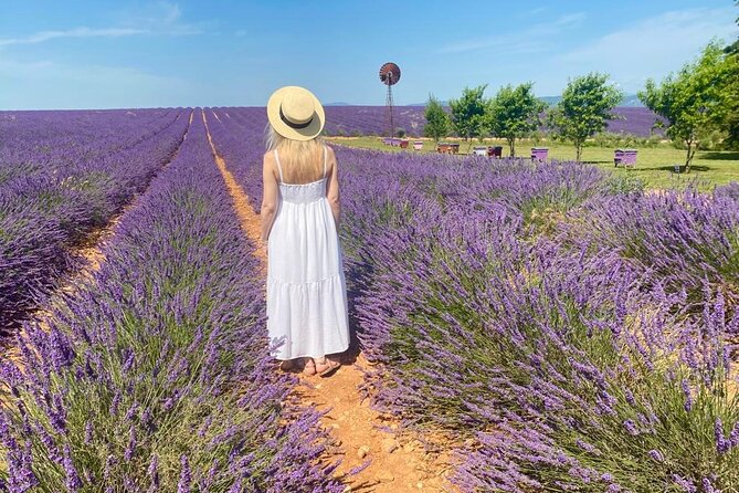 Lavender in Luberon Small Group Half-Day Trip - Gordes from the panorama viewpoint
