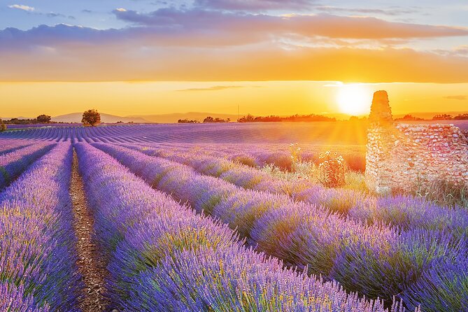 Lavender Route - Small-Group Day Trip from Avignon - Is $127.92 a fair price?